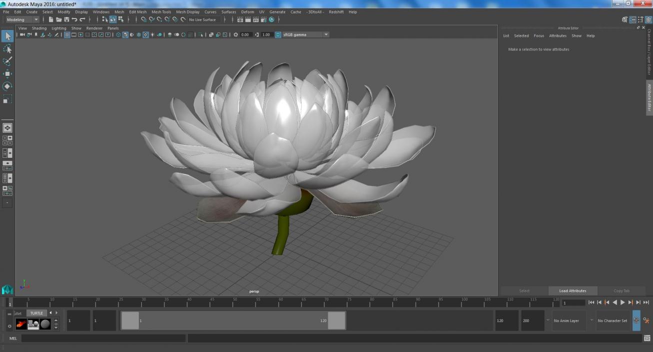 3D model Flower Victoria Amazonica