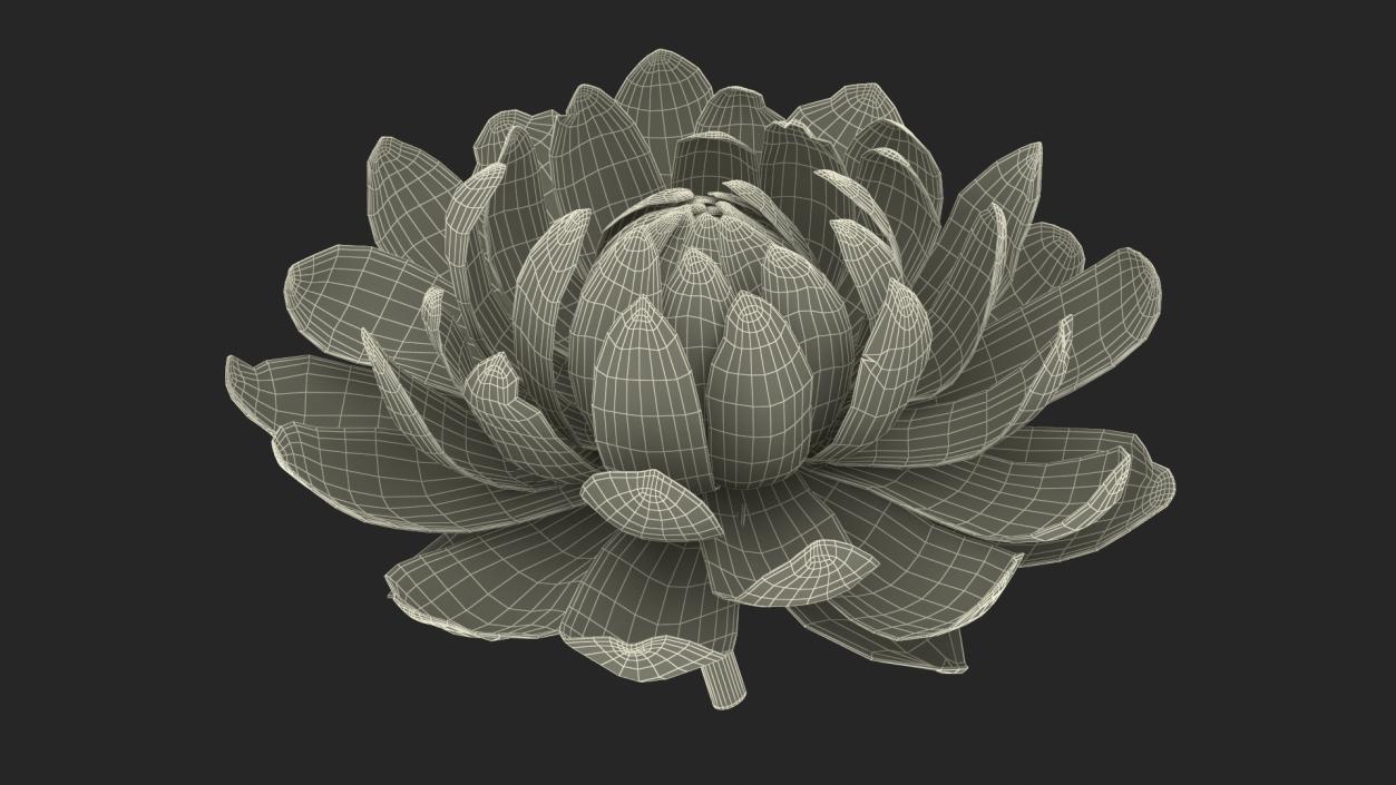 3D model Flower Victoria Amazonica