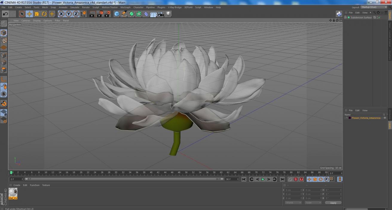 3D model Flower Victoria Amazonica