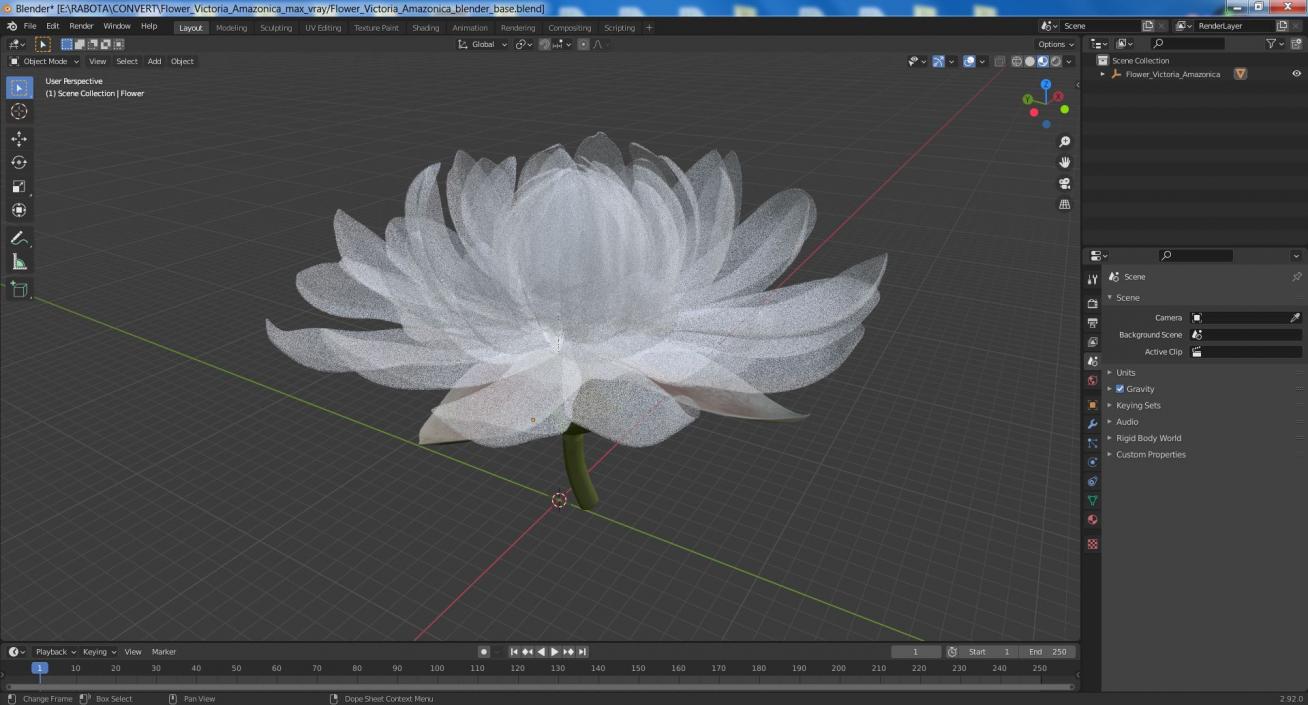 3D model Flower Victoria Amazonica