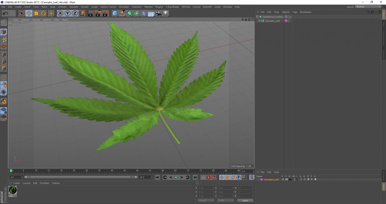 3D Cannabis Leaf model