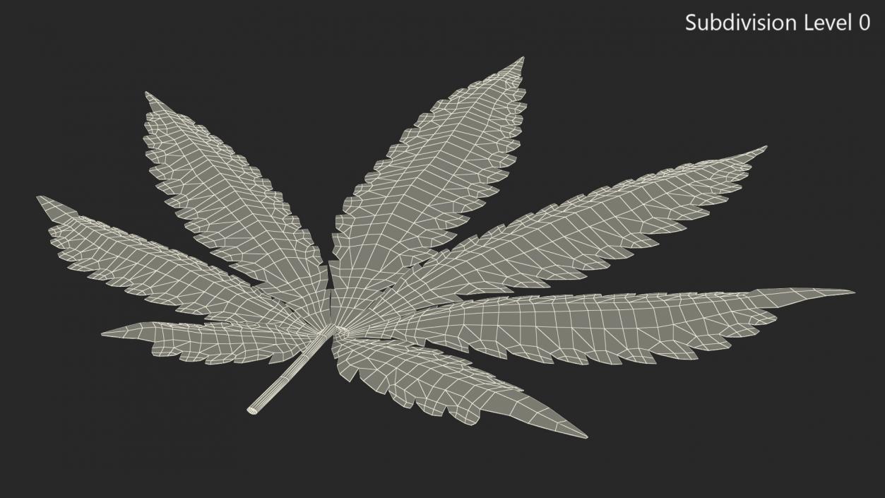 3D Cannabis Leaf model