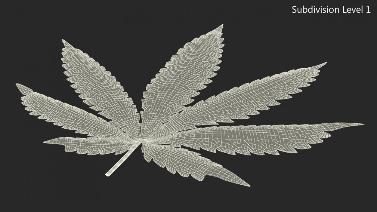 3D Cannabis Leaf model