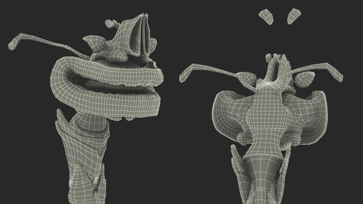 3D model Female Respiratory System