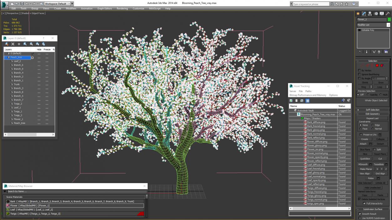 Blooming Peach Tree 3D model