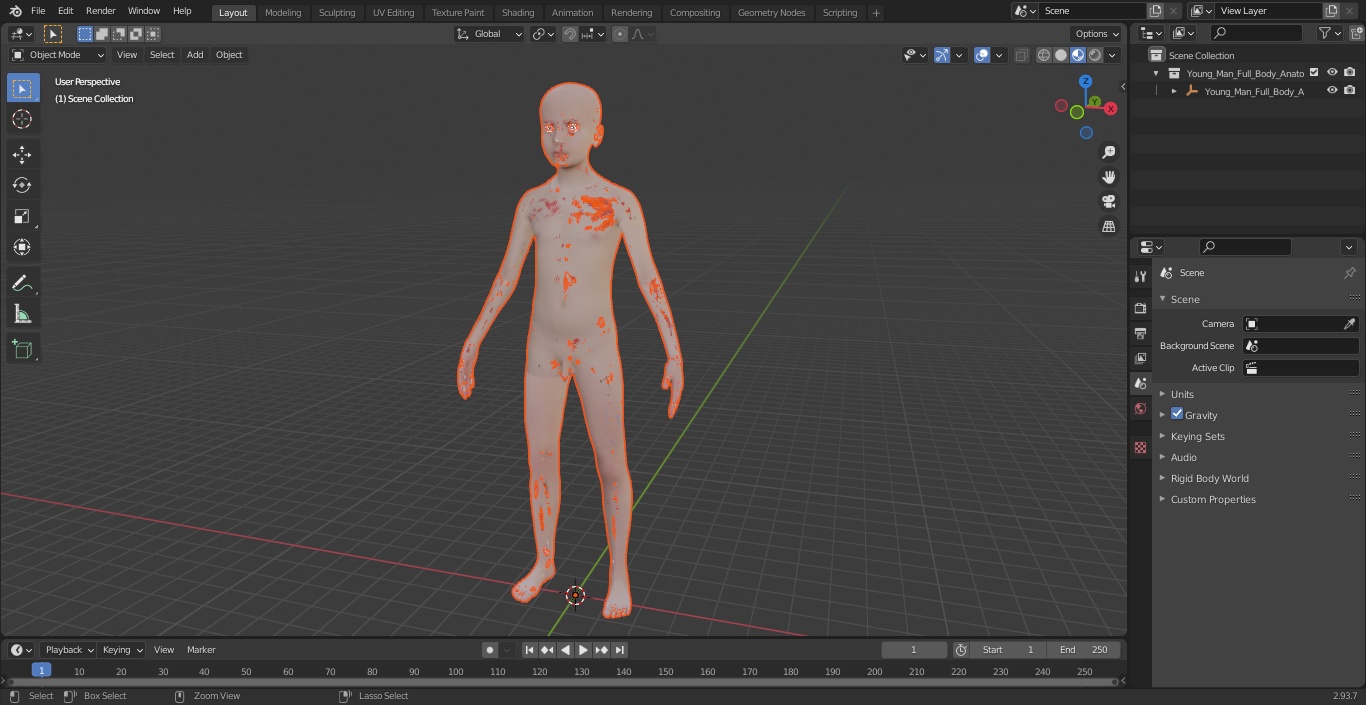 3D Young Man Full Body Anatomy Set