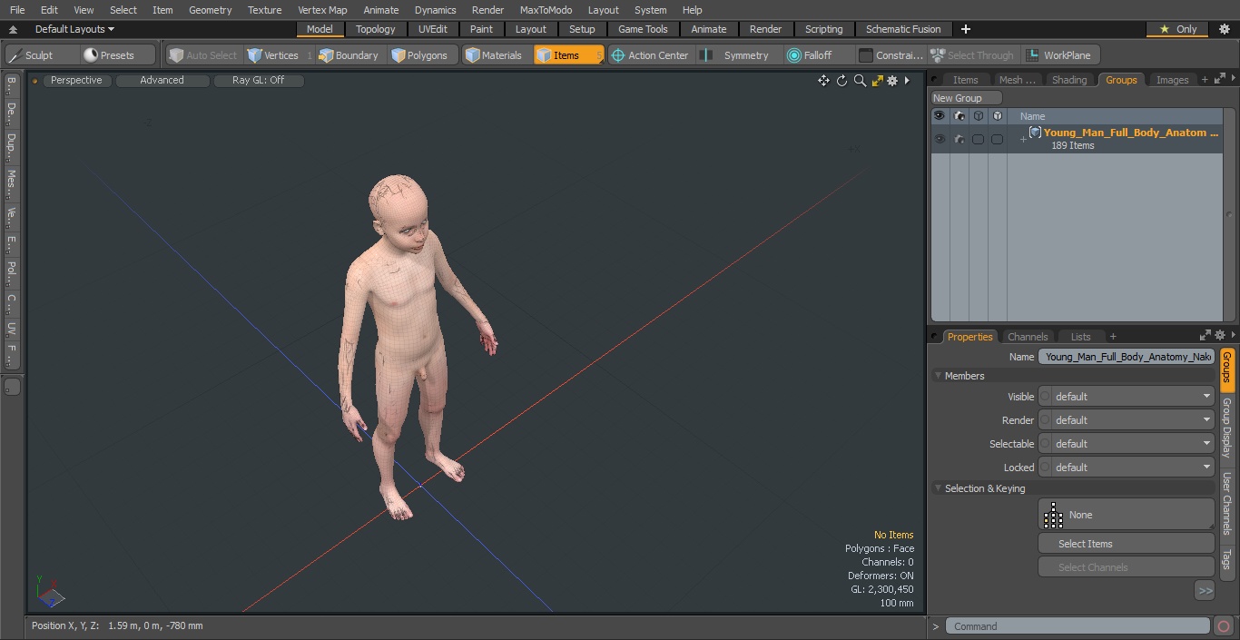 3D Young Man Full Body Anatomy Set