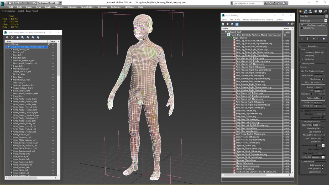 3D Young Man Full Body Anatomy Set