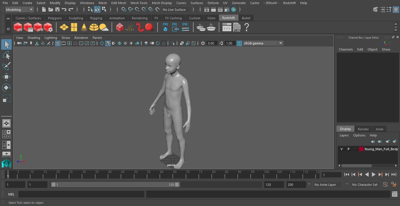 3D Young Man Full Body Anatomy Set