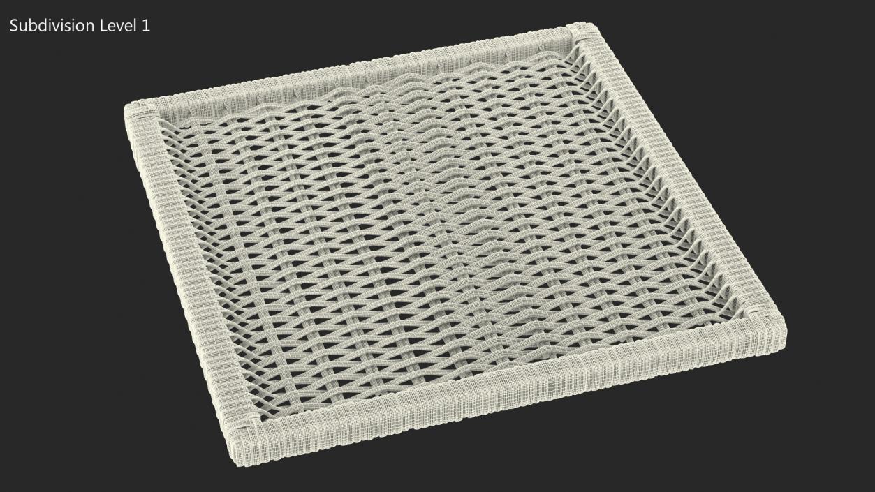 Rattan Panel 3D