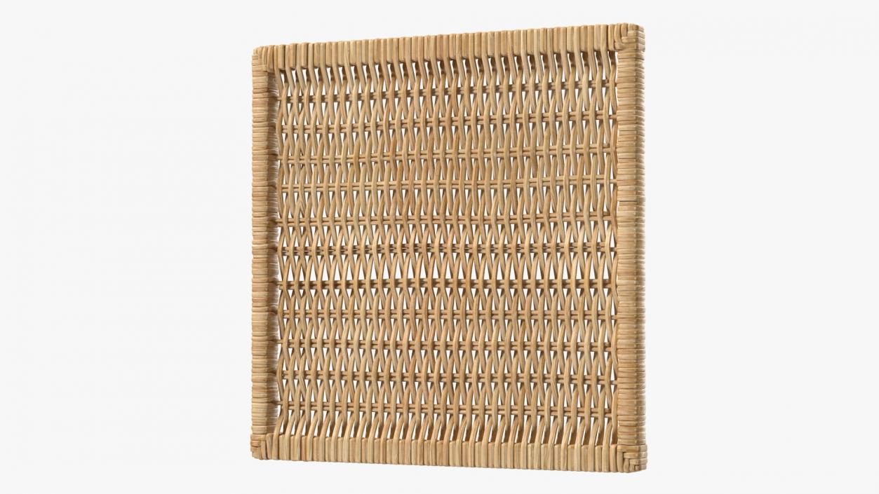 Rattan Panel 3D