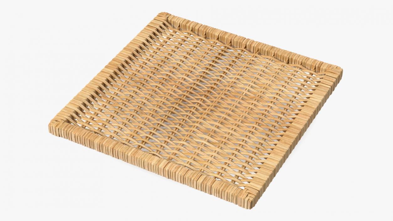 Rattan Panel 3D