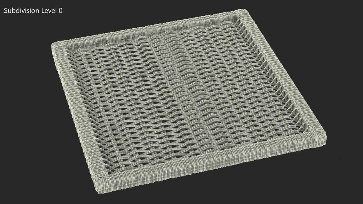 Rattan Panel 3D