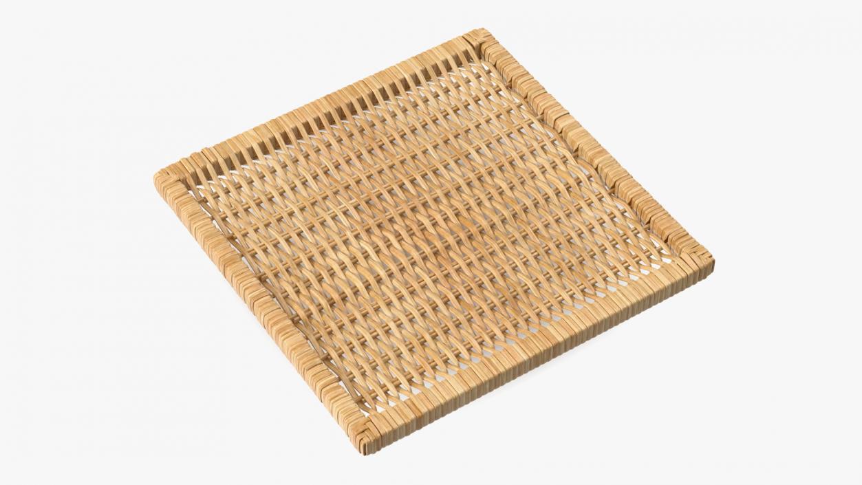 Rattan Panel 3D