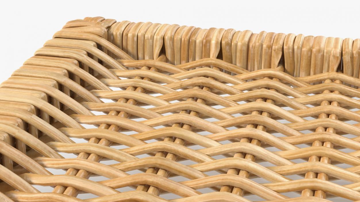 Rattan Panel 3D