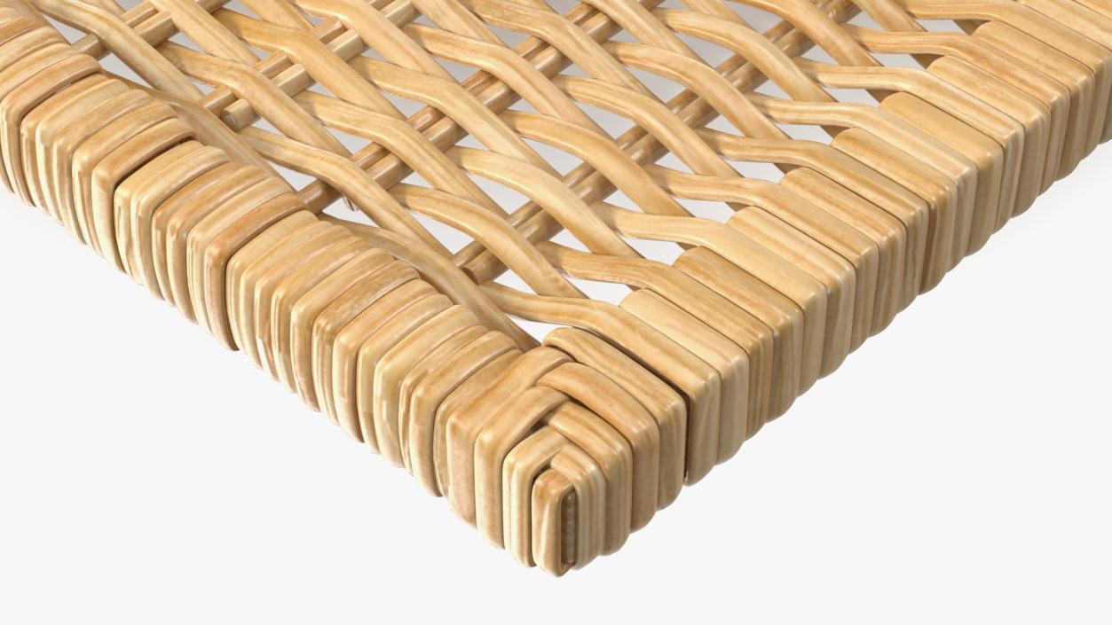 Rattan Panel 3D