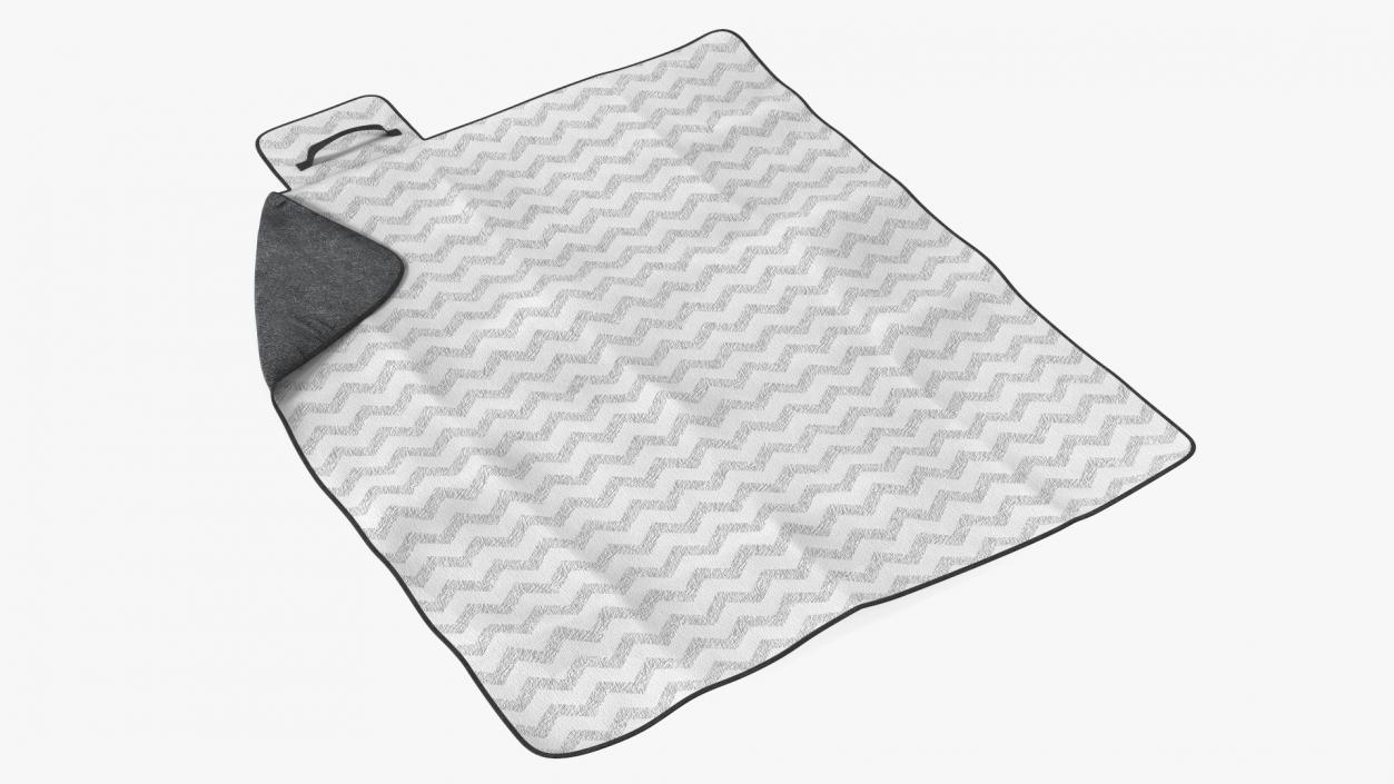 Large Picnic and Outdoor Blanket 3D