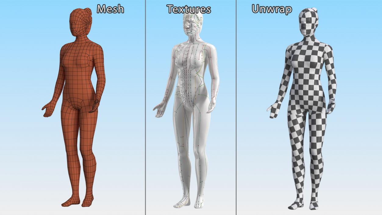 3D Acupuncture Mannequins Collection model