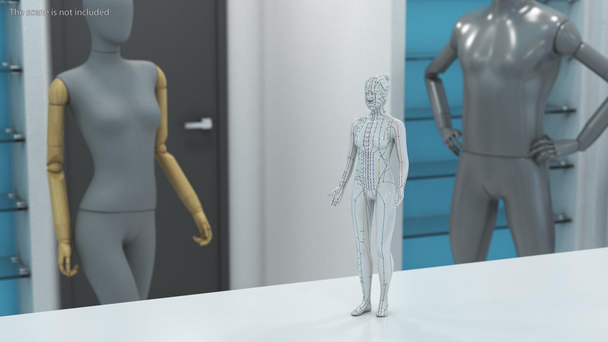 3D Acupuncture Mannequins Collection model