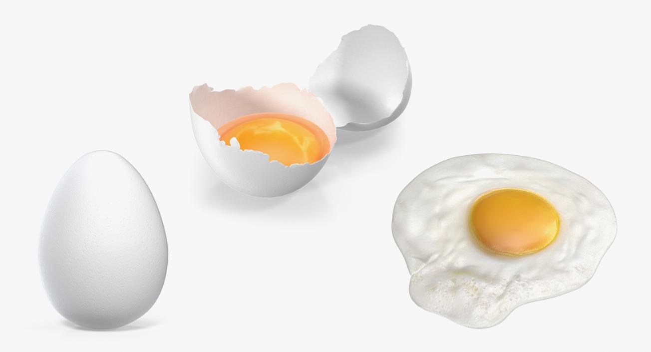 3D model White Egg 3D Models Collection