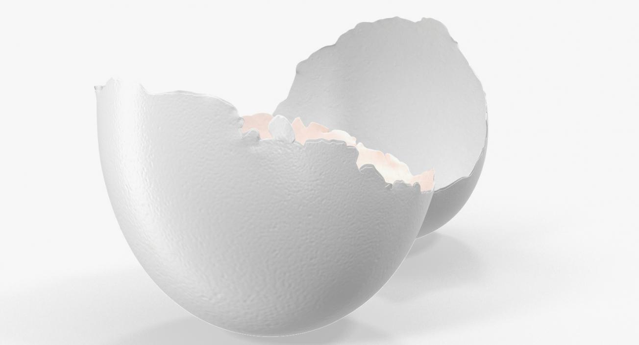 3D model White Egg 3D Models Collection