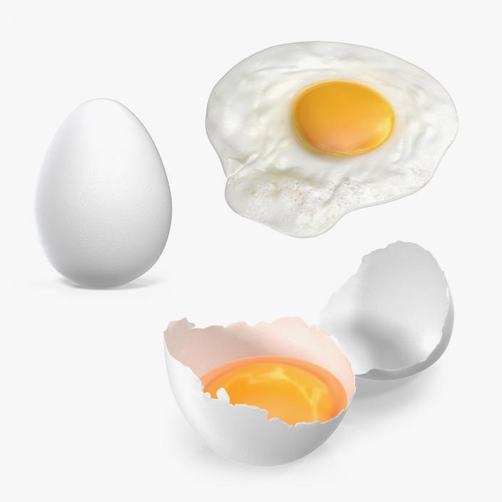 3D model White Egg 3D Models Collection