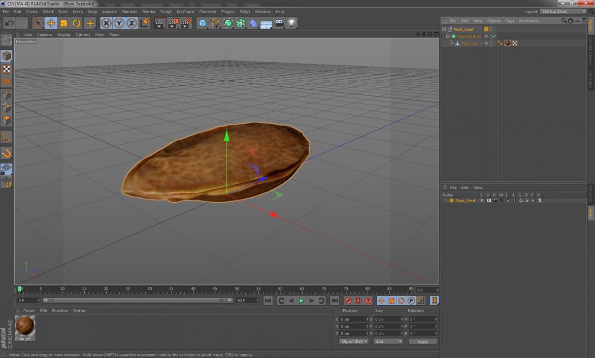 Plum Seed 3D model