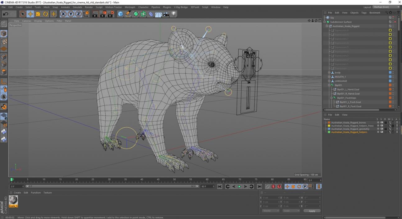 Australian Koala Rigged for Cinema 4D 3D