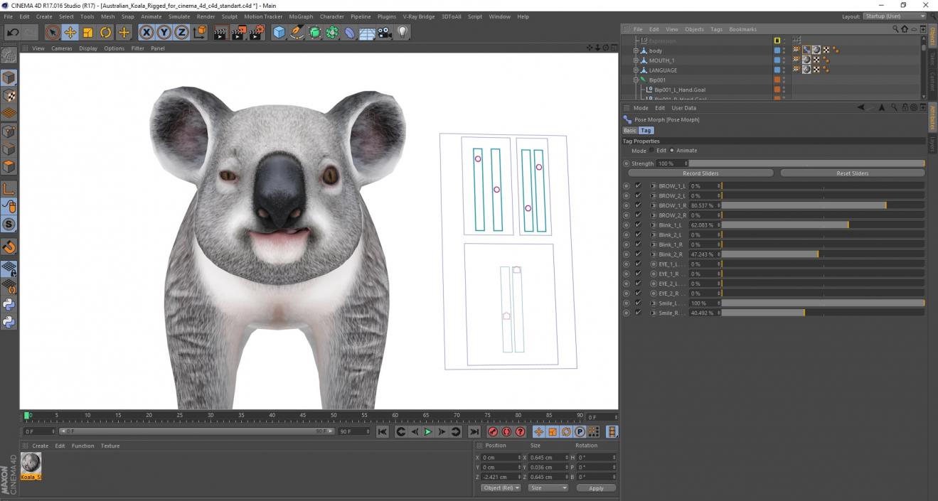 Australian Koala Rigged for Cinema 4D 3D