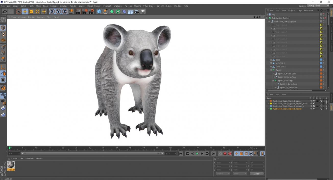 Australian Koala Rigged for Cinema 4D 3D