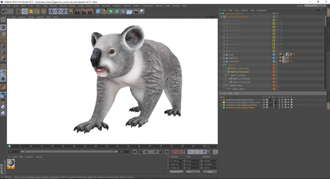 Australian Koala Rigged for Cinema 4D 3D