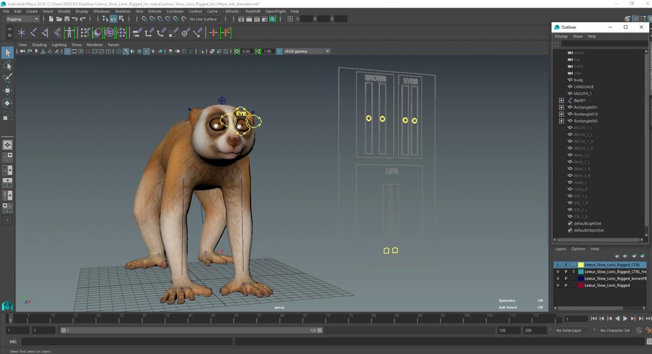 Lemur Slow Loris Rigged for Maya 3D