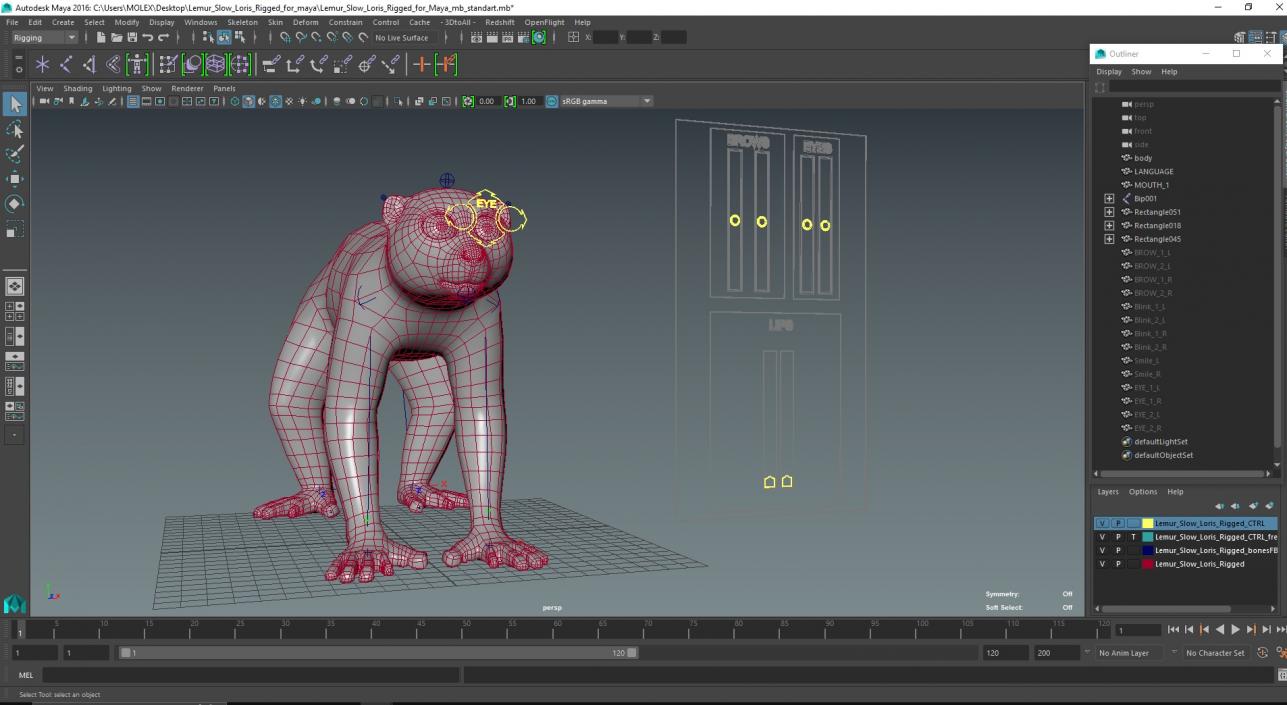 Lemur Slow Loris Rigged for Maya 3D