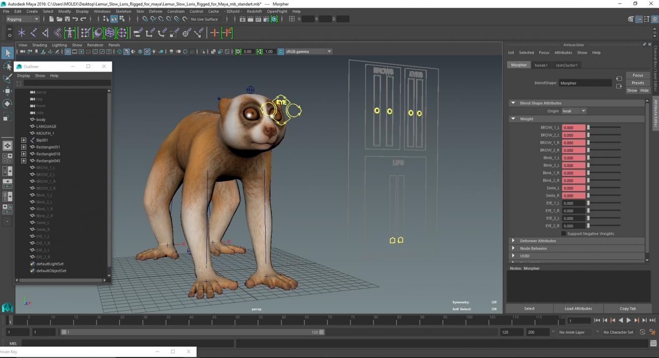 Lemur Slow Loris Rigged for Maya 3D