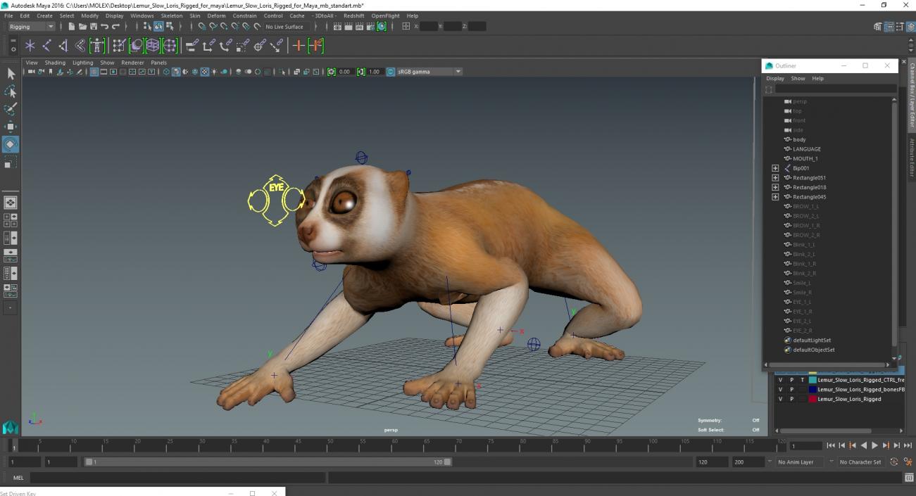 Lemur Slow Loris Rigged for Maya 3D