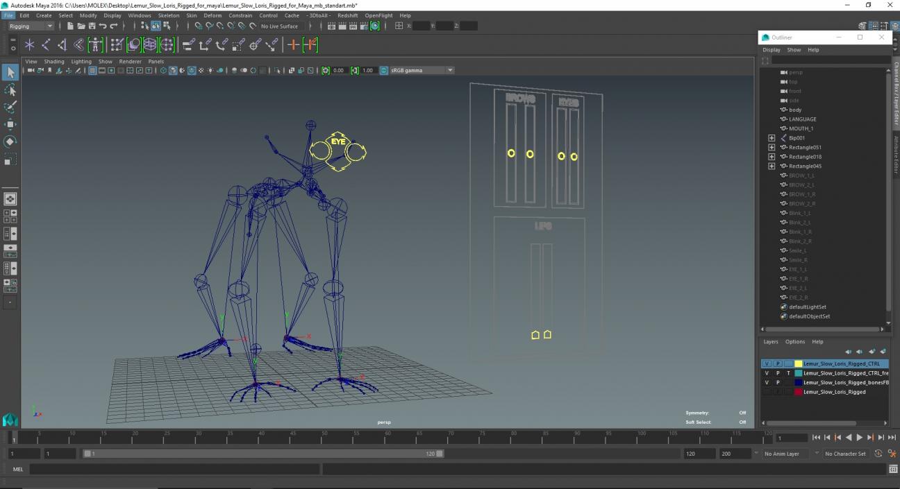 Lemur Slow Loris Rigged for Maya 3D