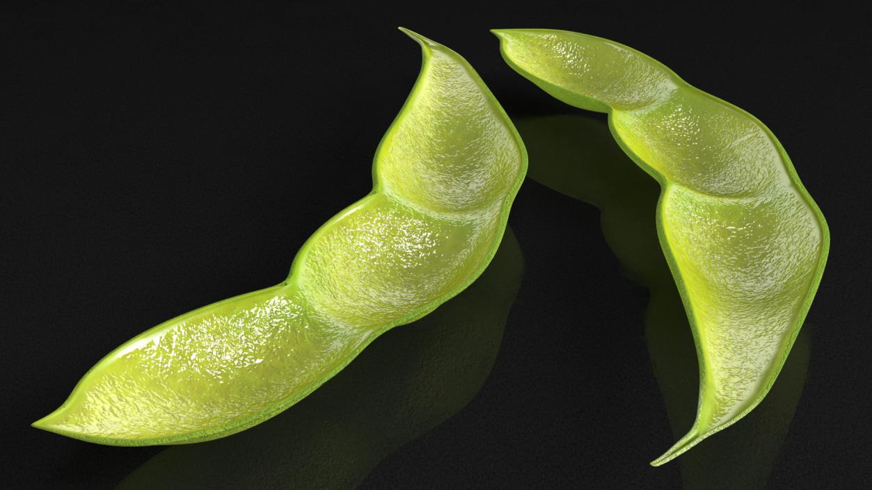 3D Green Soybean Pod Empty model