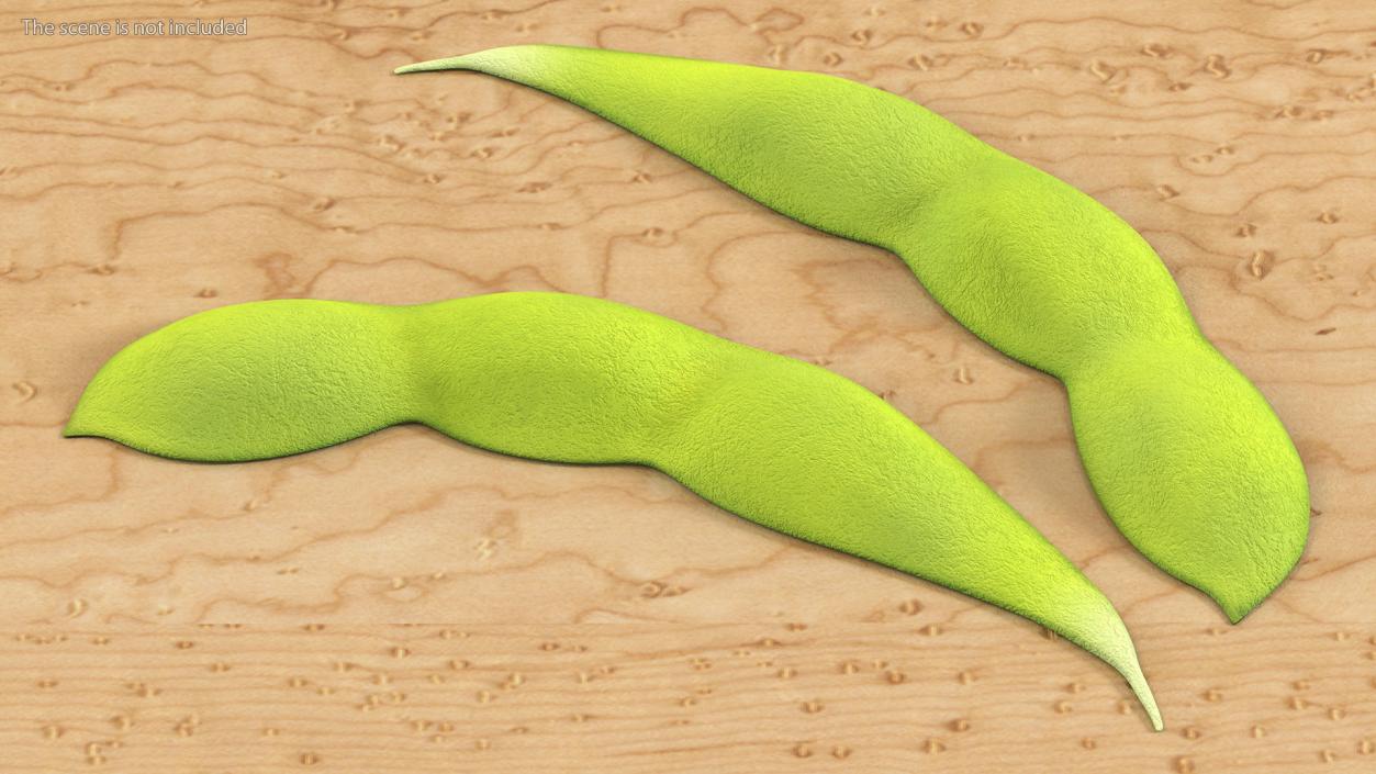 3D Green Soybean Pod Empty model