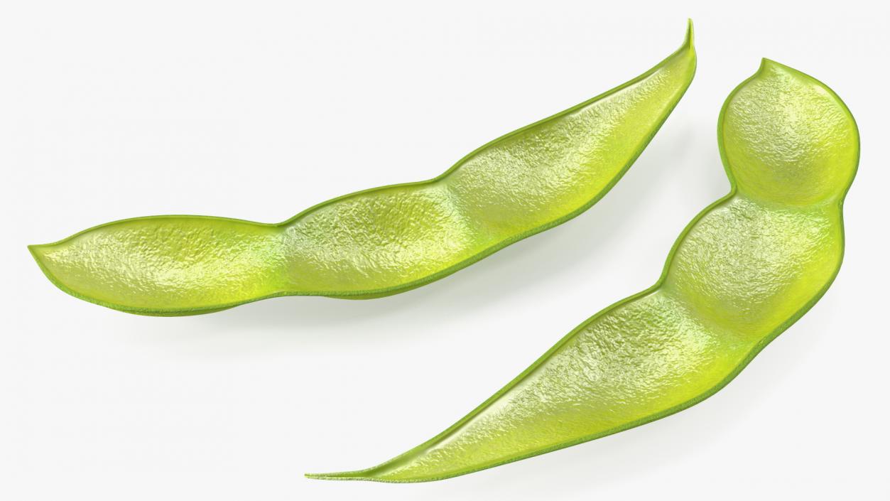 3D Green Soybean Pod Empty model