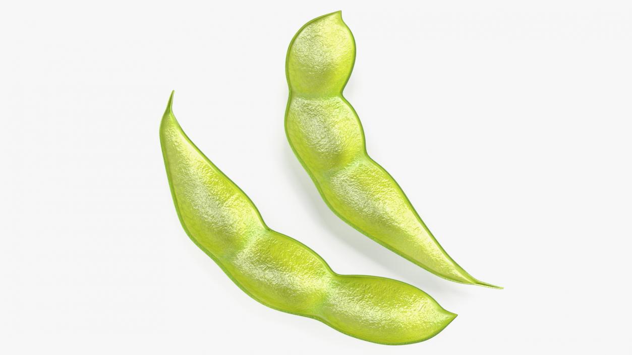 3D Green Soybean Pod Empty model