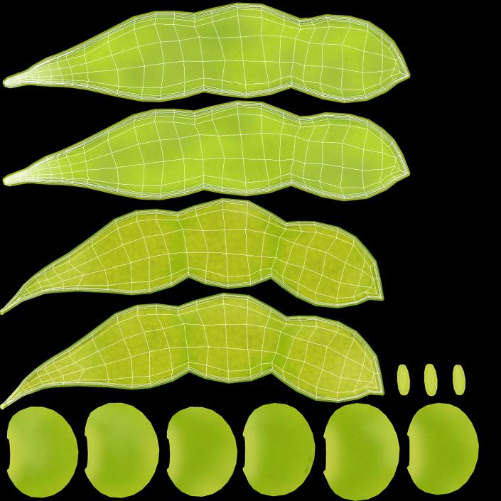 3D Green Soybean Pod Empty model