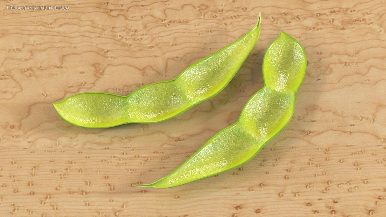 3D Green Soybean Pod Empty model