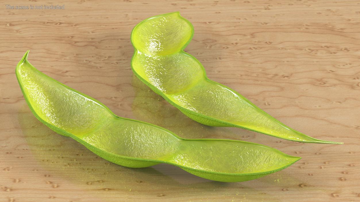 3D Green Soybean Pod Empty model