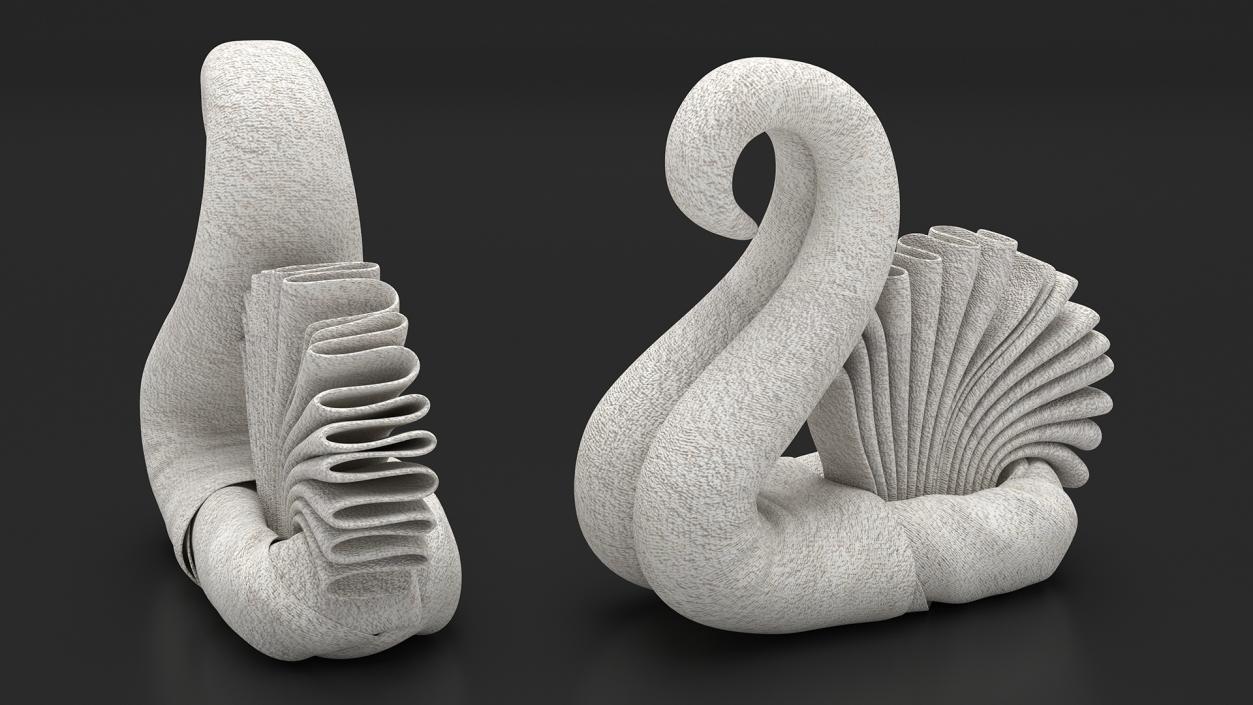 3D Shaped Towel Swans Collection 2