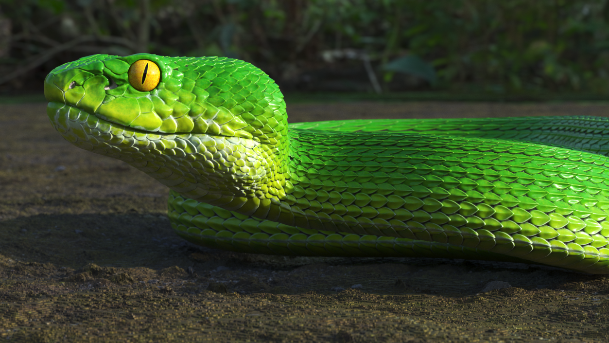 3D Creeping Green Viper Trimeresurus model