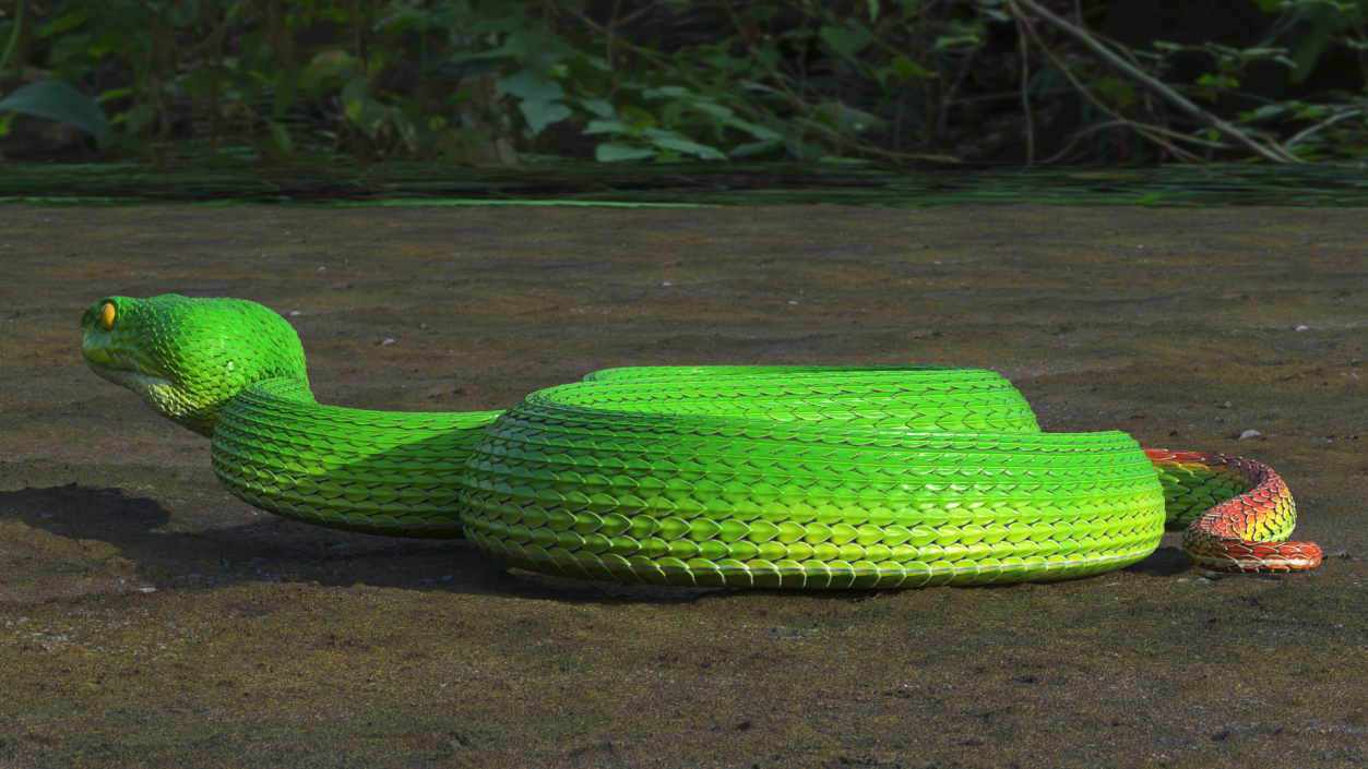 3D Creeping Green Viper Trimeresurus model