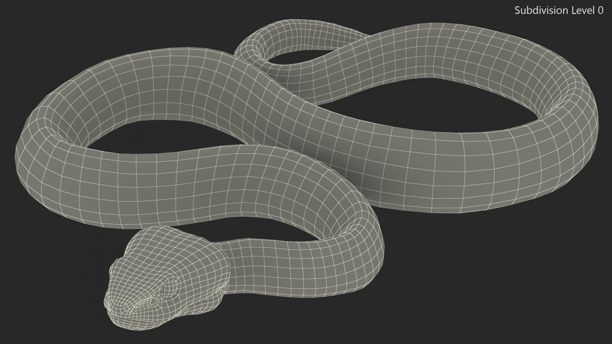 3D Creeping Green Viper Trimeresurus model