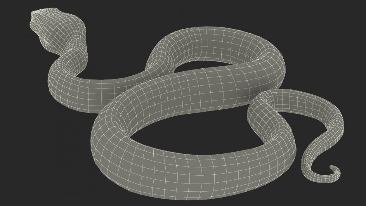 3D Creeping Green Viper Trimeresurus model