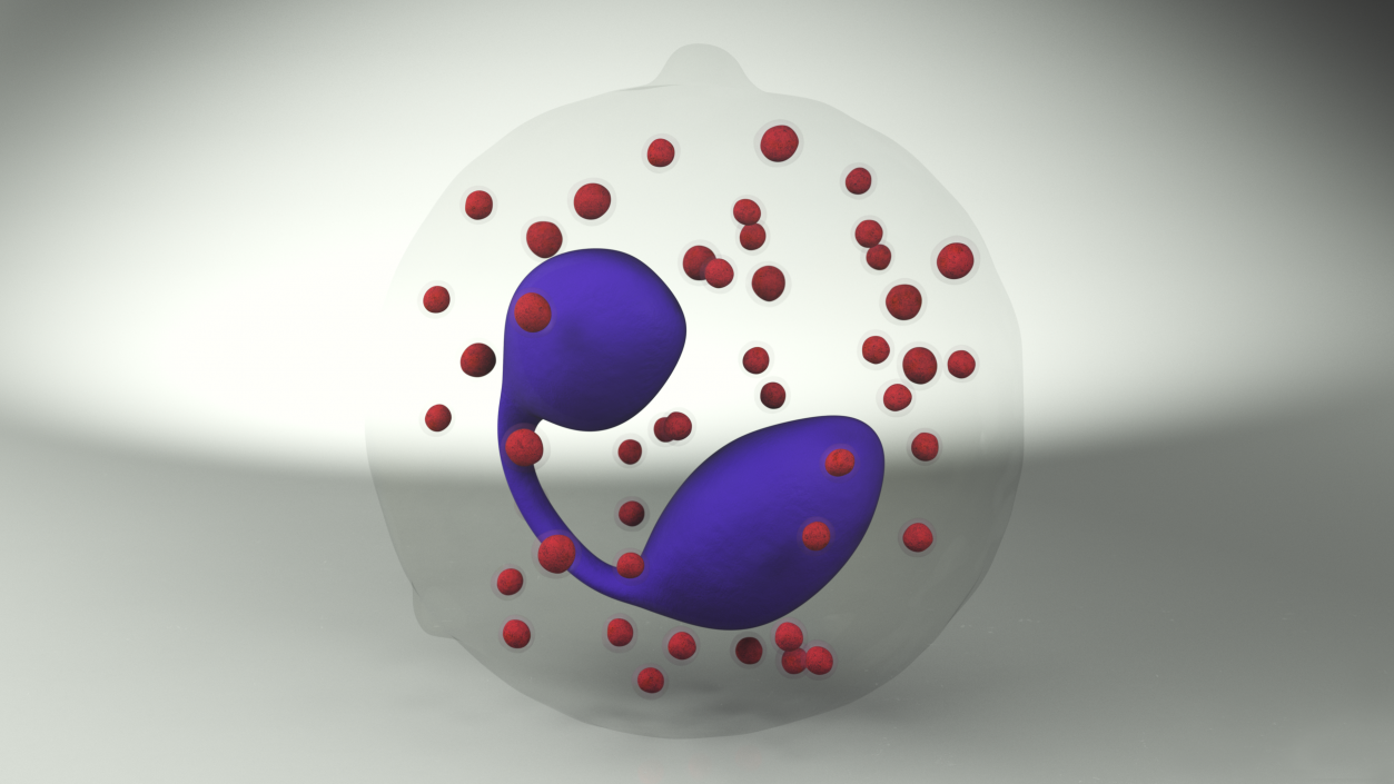 3D Eosinophil Blood Cell