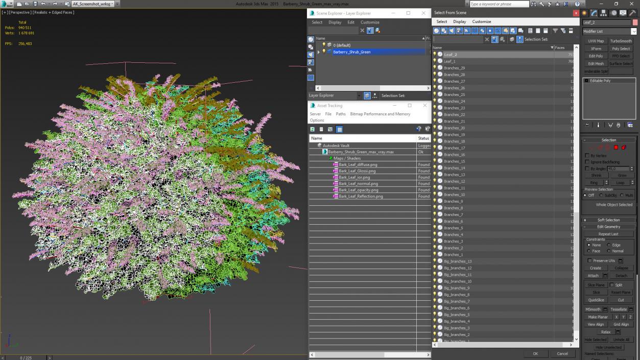 3D model Barberry Shrub Green